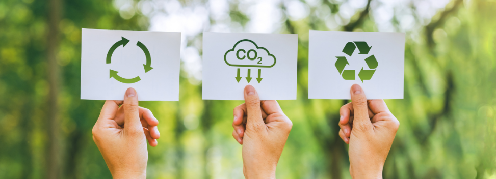 Sustainability Blog Banner 972X352